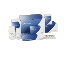 qPCR耗材相關產品價格調整