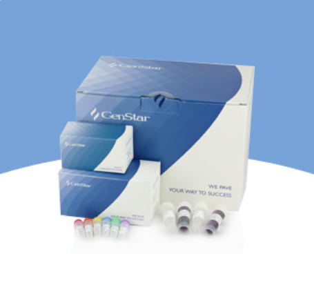 GenStar DNA Markers 系列產品規格&貨號調整通知