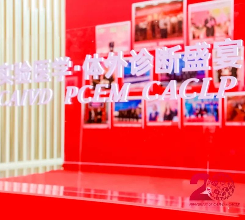 初夏盛會(huì)，精彩回顧