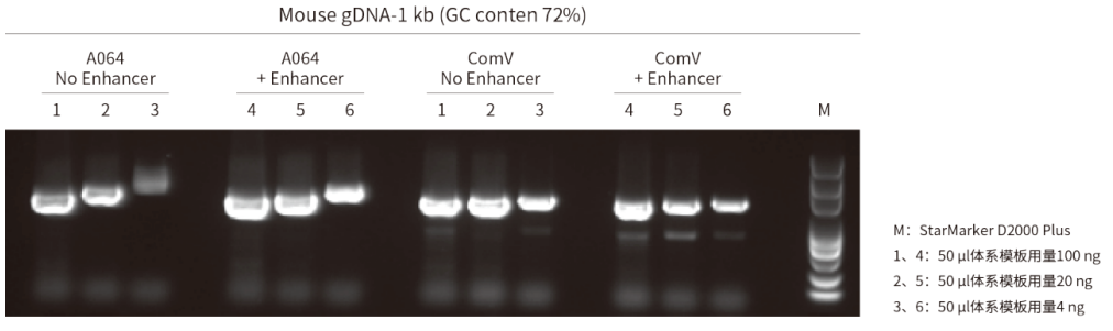 0825-04.png 0825-04.png