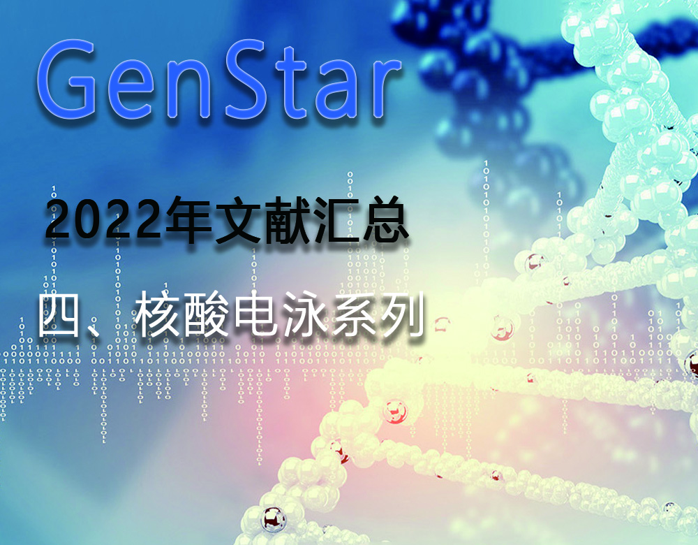 GenStar 2022年文獻(xiàn)匯總（四、核酸電泳系列）